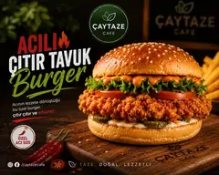 Acılı Çıtır Tavuk Burger afişi