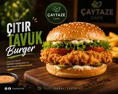 Çıtır Tavuk Burger afişi
